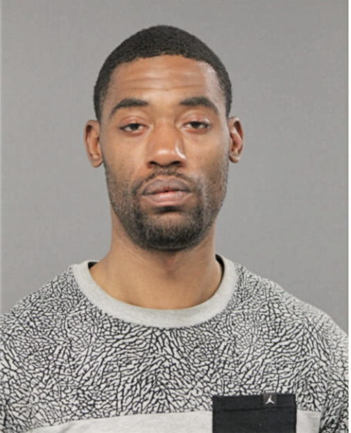 DENNIS A GOODMAN, Cook County, Illinois