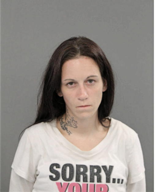 MEGAN N LYNCH, Cook County, Illinois