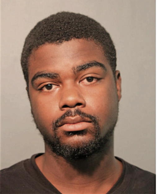 ROBERT E MCDOWELL, Cook County, Illinois
