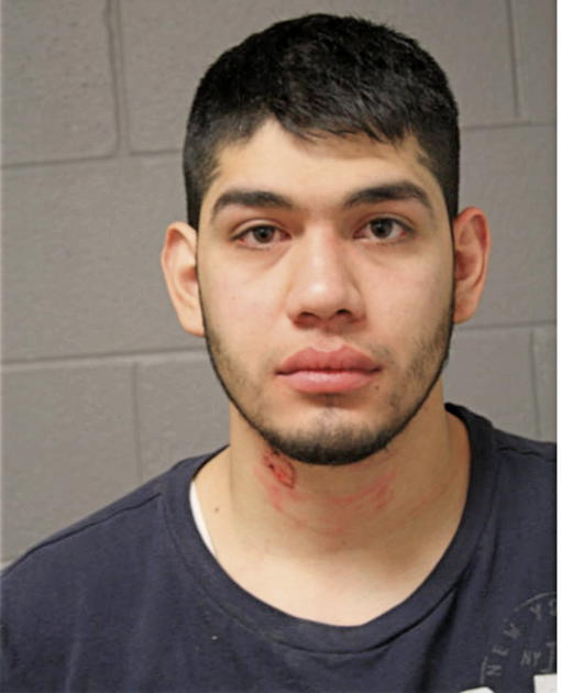 CHRISTIAN MEDINA, Cook County, Illinois