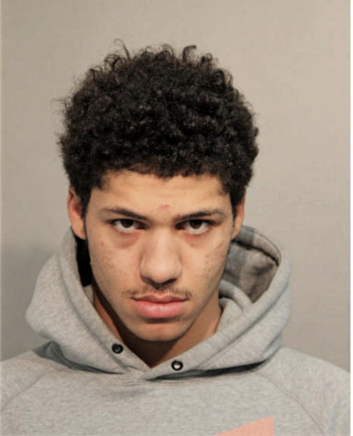 QUINN L PAYNE BRANDON, Cook County, Illinois