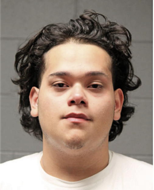 ELIMMANUEL VITO PEREYRA, Cook County, Illinois