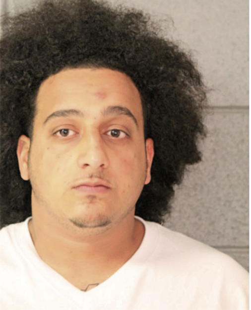 ABDELRAHMA A RAMADAN, Cook County, Illinois