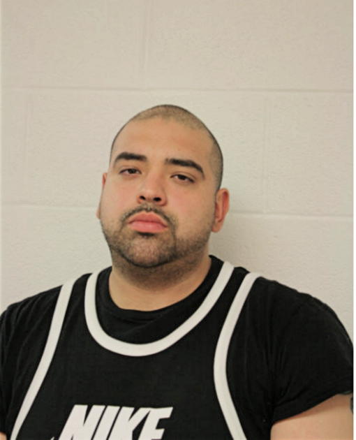 ANDRES F REINA, Cook County, Illinois