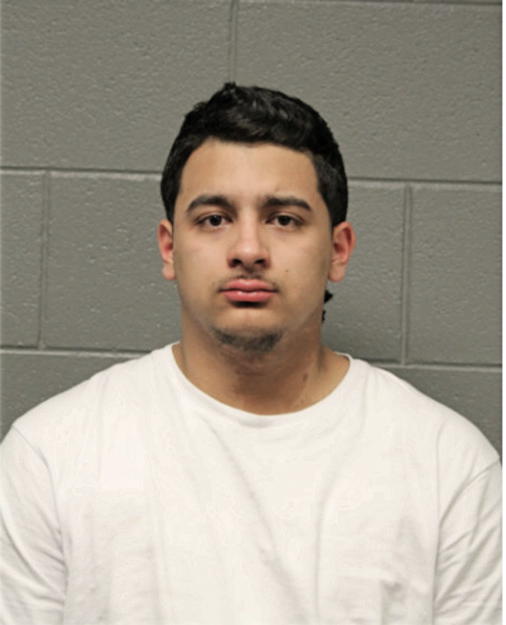 CHRISTOPER SALME, Cook County, Illinois
