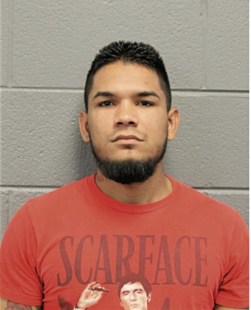 RONNY D SERRATA VILLAMAN, Cook County, Illinois