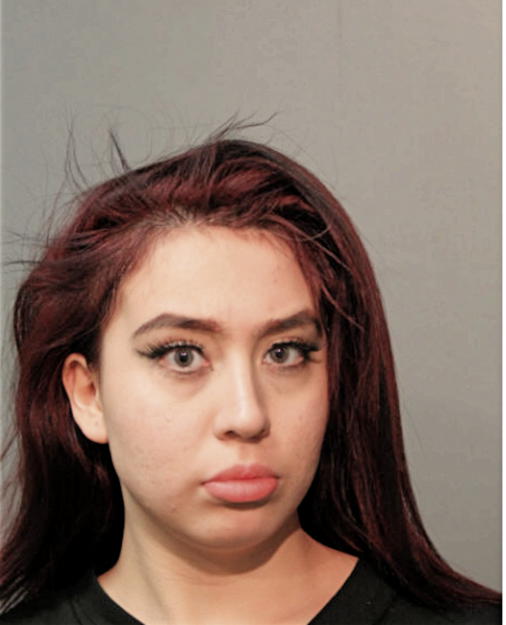 MICHELLE ALEXANDRA ADAME, Cook County, Illinois