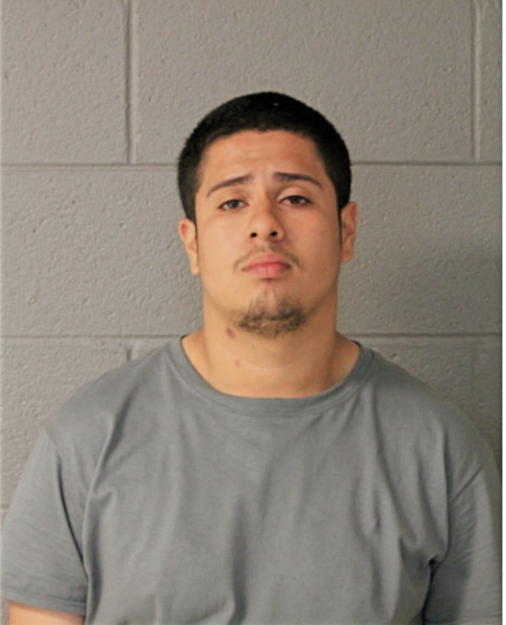 MIGUEL E ANDINO, Cook County, Illinois