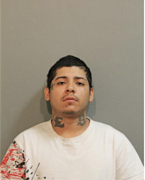 CARLOS ALBERTO ANDRADE, Cook County, Illinois