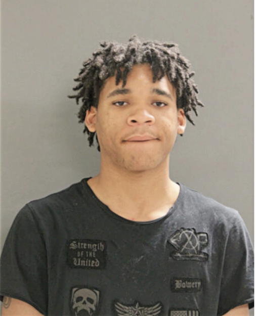 DEWAYNE C AVRIERTT, Cook County, Illinois