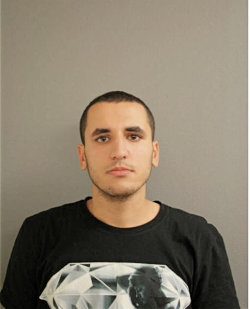 OMAR BASSIOUNI, Cook County, Illinois