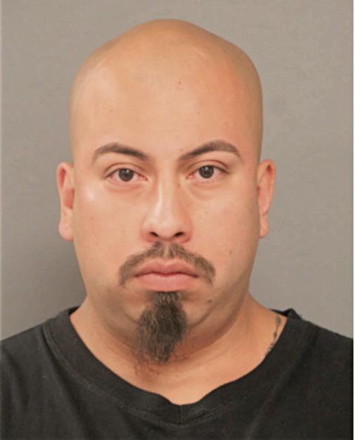 JUNIOR L BELTRAN, Cook County, Illinois