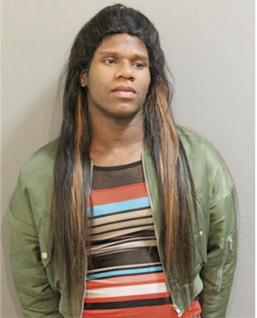 JOHNNEL S BLOUNT, Cook County, Illinois