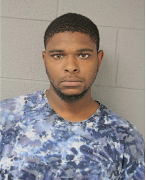 STEVEN E BRADLEY, Cook County, Illinois
