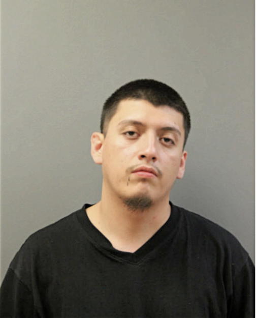 FERNANDO S BRITO, Cook County, Illinois