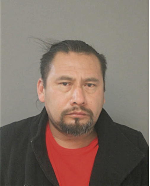 SANTOS P DELGADO, Cook County, Illinois