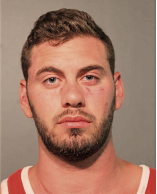 ANTHONY J DENOTTO, Cook County, Illinois