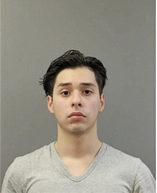 FABIAN ALBERTO DIAZ, Cook County, Illinois