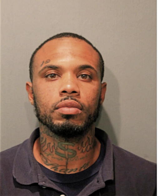 MICHAEL W DUDLEY, Cook County, Illinois