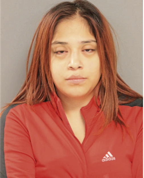 ISAMAR FLORES, Cook County, Illinois