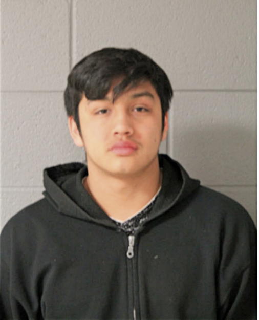 RAFAEL FLORES, Cook County, Illinois