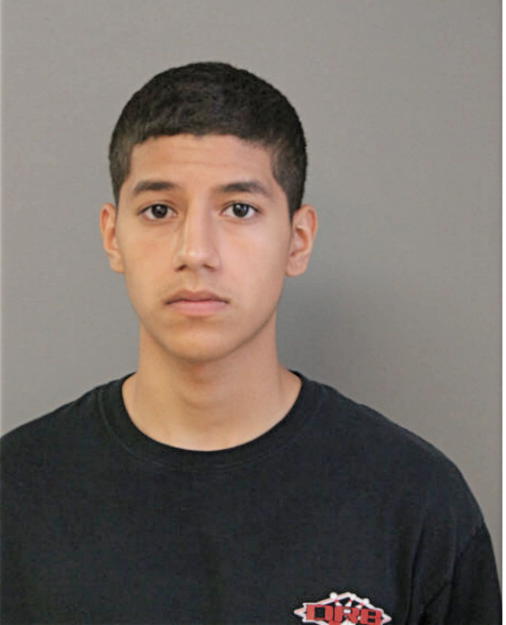 MANUEL A GONZALEZ, Cook County, Illinois