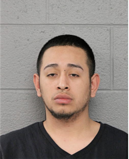 ANIBAL HERNANDEZ, Cook County, Illinois