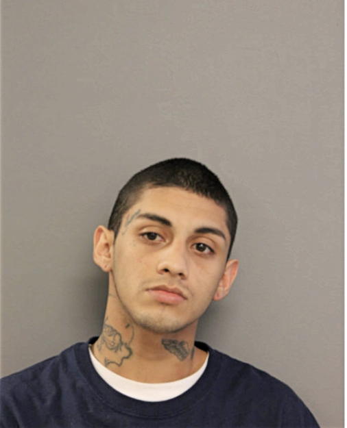 JESUS M HERNANDEZ, Cook County, Illinois