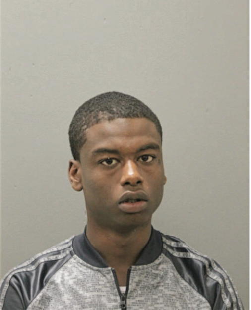 CHRISTOPHER D HIBBLER, Cook County, Illinois