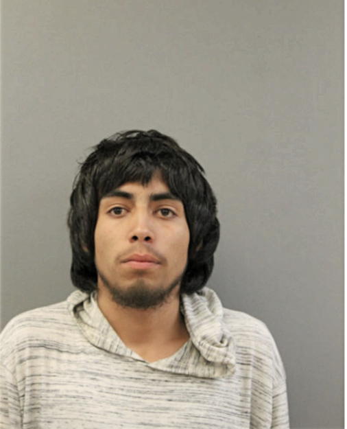 EDER ALTAMIRANO ISALLET, Cook County, Illinois