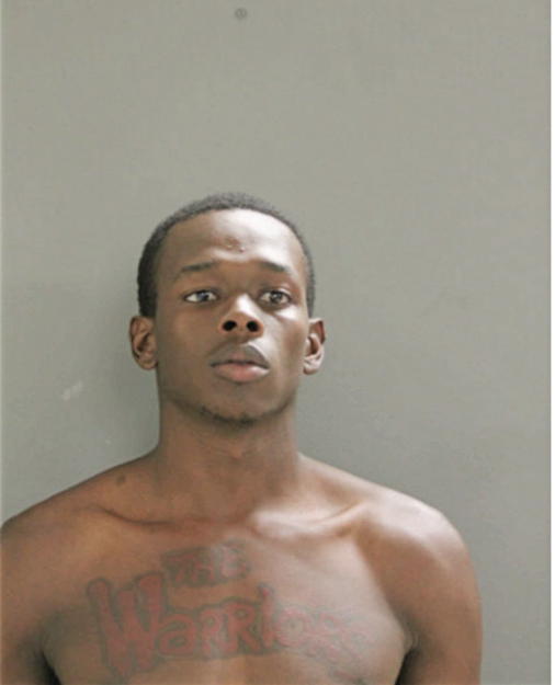 DAVID M JOHNSON, Cook County, Illinois