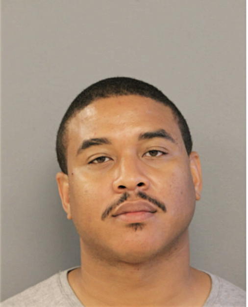JERRELL JOHNSON, Cook County, Illinois