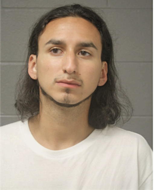 ALBERTO MEDINA, Cook County, Illinois