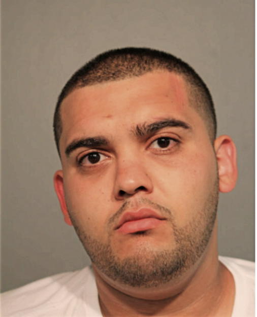 LUIS R MONTERO, Cook County, Illinois