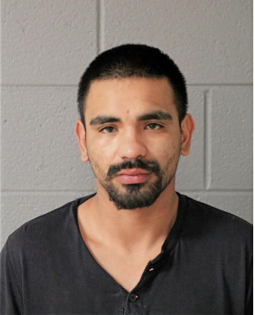 ULISES A MORENO, Cook County, Illinois