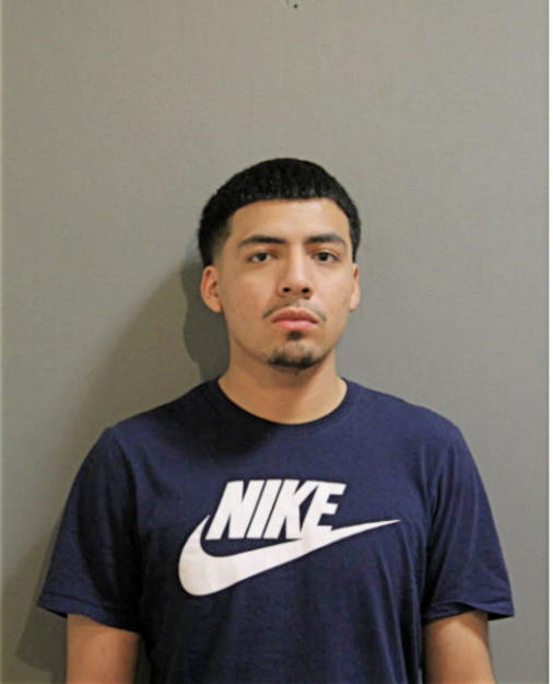 LUIS D NINO, Cook County, Illinois