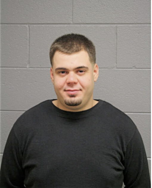AMEL OMERALOVIC, Cook County, Illinois