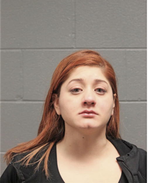 VANESSA M RUIZ, Cook County, Illinois