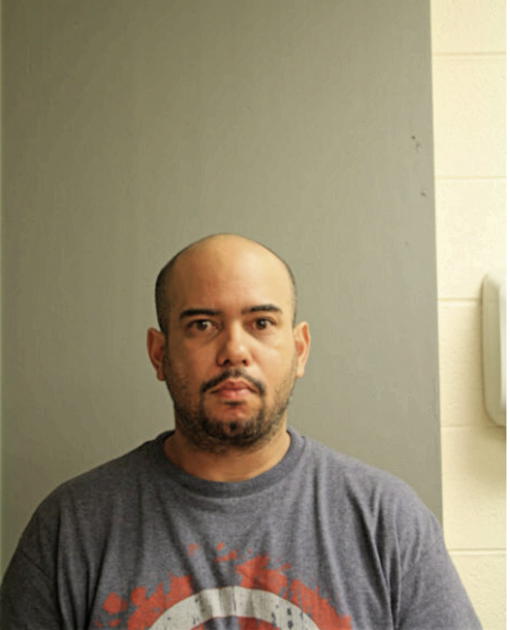 JOEL F SANCHEZ, Cook County, Illinois