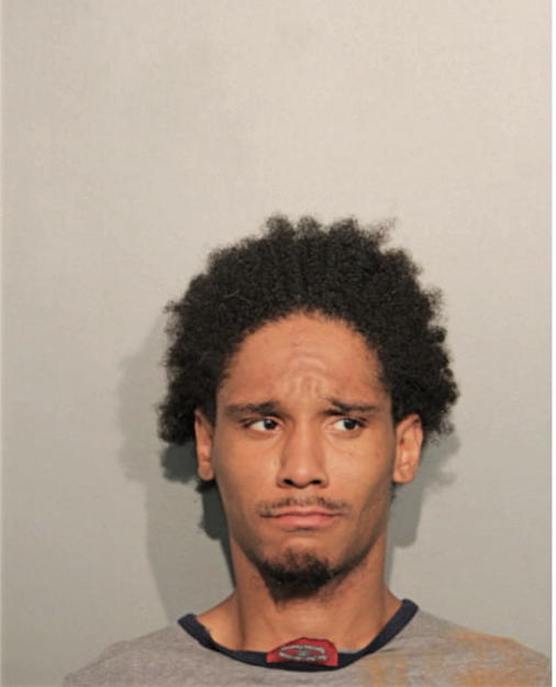 TYRONE L STRICKLAND, Cook County, Illinois