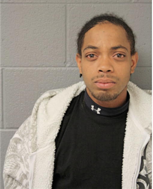 DAVID I THOMAS, Cook County, Illinois