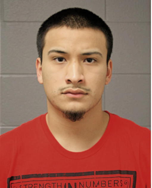 FABIAN J VILLAFUERTE, Cook County, Illinois