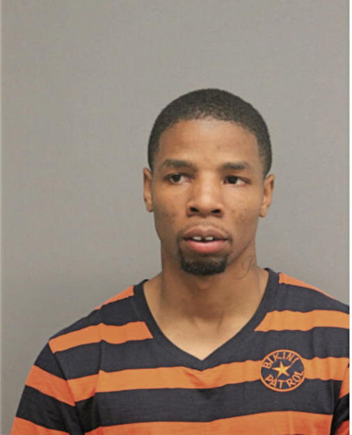 LARRY E ADAMS, Cook County, Illinois