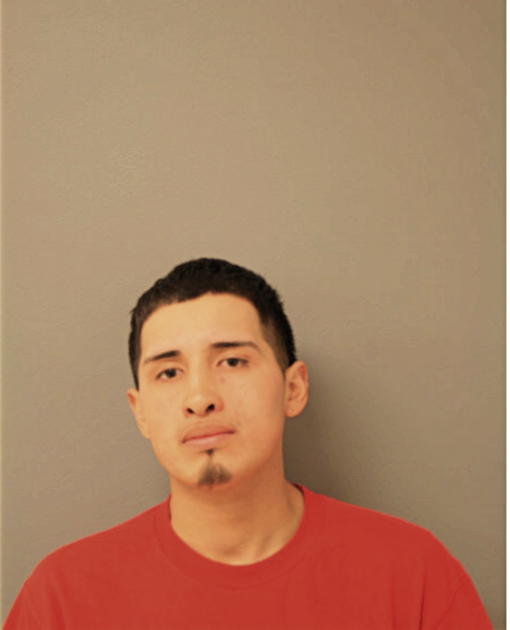 IVAN ANDRADE, Cook County, Illinois