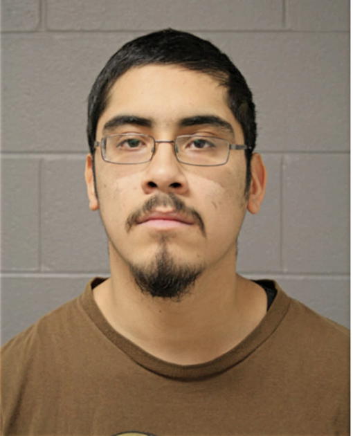 EDGARDO BAHENA, Cook County, Illinois