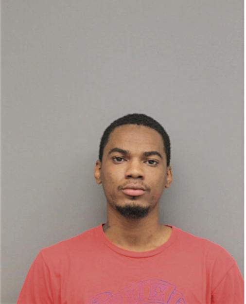 LEE R DAVIS, Cook County, Illinois
