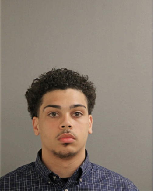 LUIS A DIAZ, Cook County, Illinois