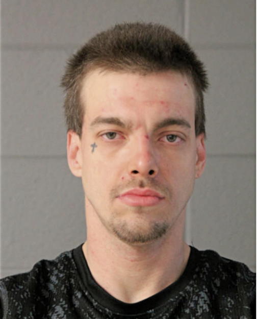 MICHAEL A EVERETT, Cook County, Illinois
