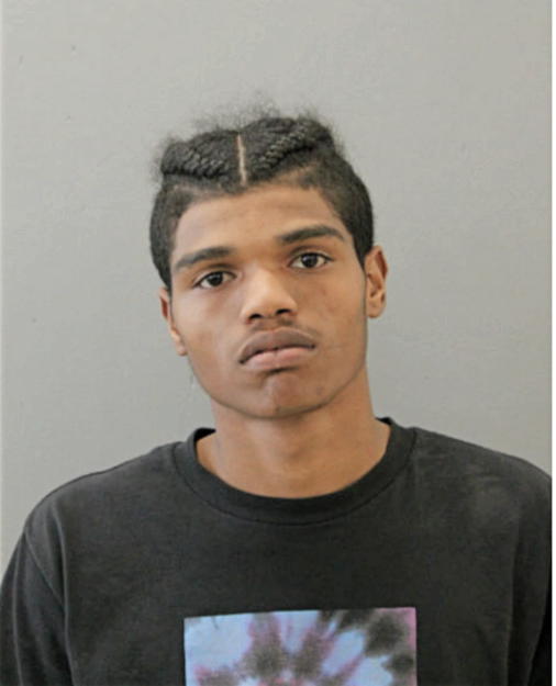 TERRELL L FERRELL, Cook County, Illinois