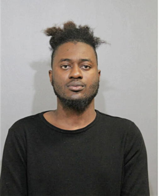 OLUWAKAYODE HAMMED FOLORUNSHO, Cook County, Illinois